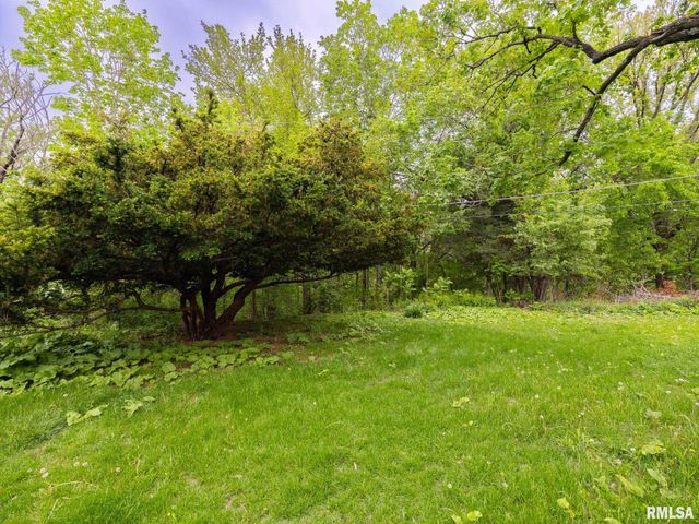 205 N KICKAPOO Terrace, Peoria, IL 61604