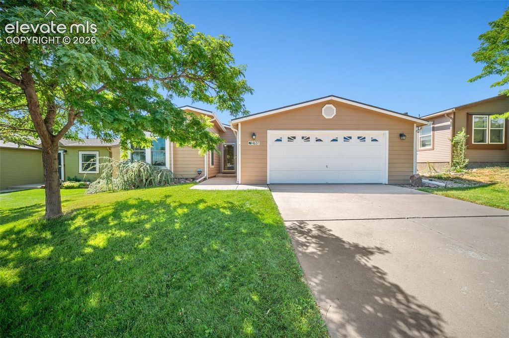 4637 Gray Fox Heights, Colorado Springs, CO 80922 — exterior
