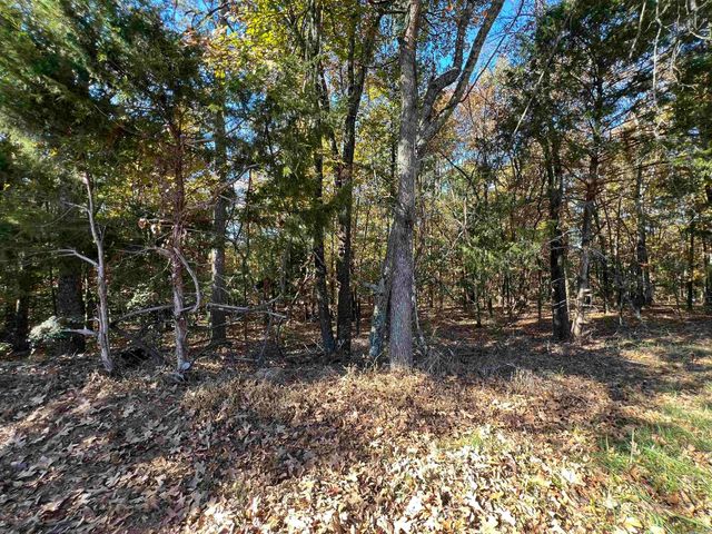 00 Rock Road, Fairfield Bay, AR 72044