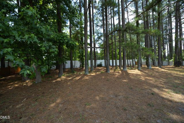 1625 Tall Cane Circle, Willow Spring, NC 27592