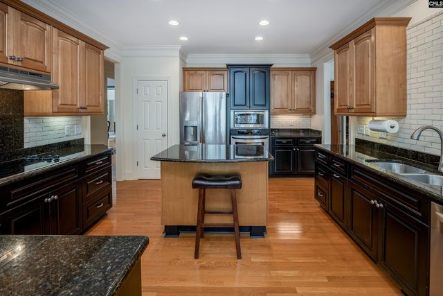 217 Longcreek Plantation Drive, Blythewood, SC 29016
