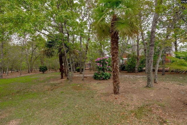 217 Longcreek Plantation Drive, Blythewood, SC 29016