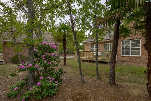 217 Longcreek Plantation Drive, Blythewood, SC 29016