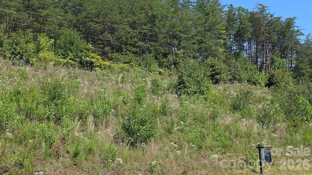 0 US 64 90 Highway W, Taylorsville, NC 28681