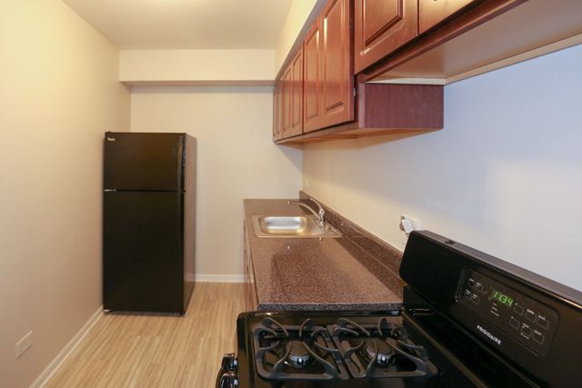 1040 W HOLLYWOOD Avenue 205, Chicago, IL 60660