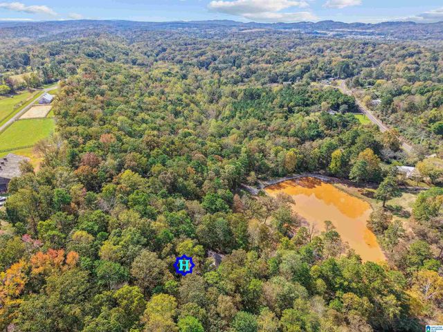 6877 ROPER ROAD, Trussville, AL 35173