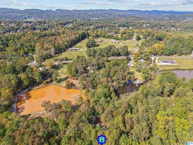 6877 ROPER ROAD, Trussville, AL 35173