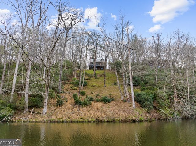 160 Adams Circle, Mineral Bluff, GA 30559