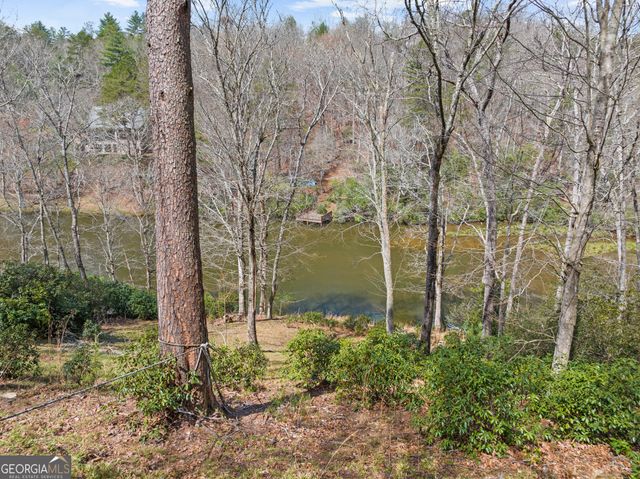 160 Adams Circle, Mineral Bluff, GA 30559