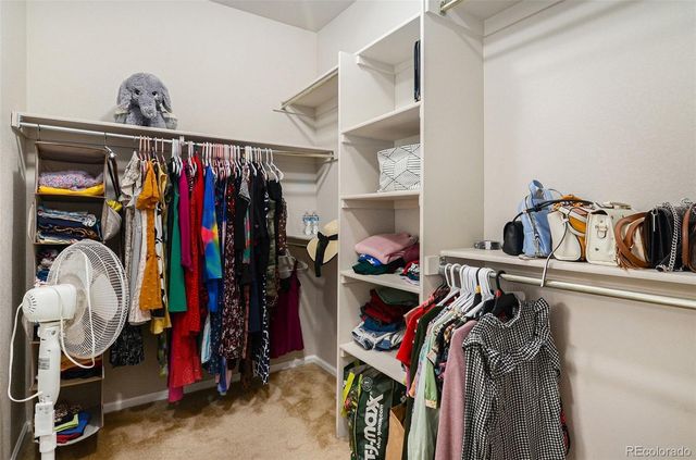 12291 Coral Burst Court, Parker, CO 80134