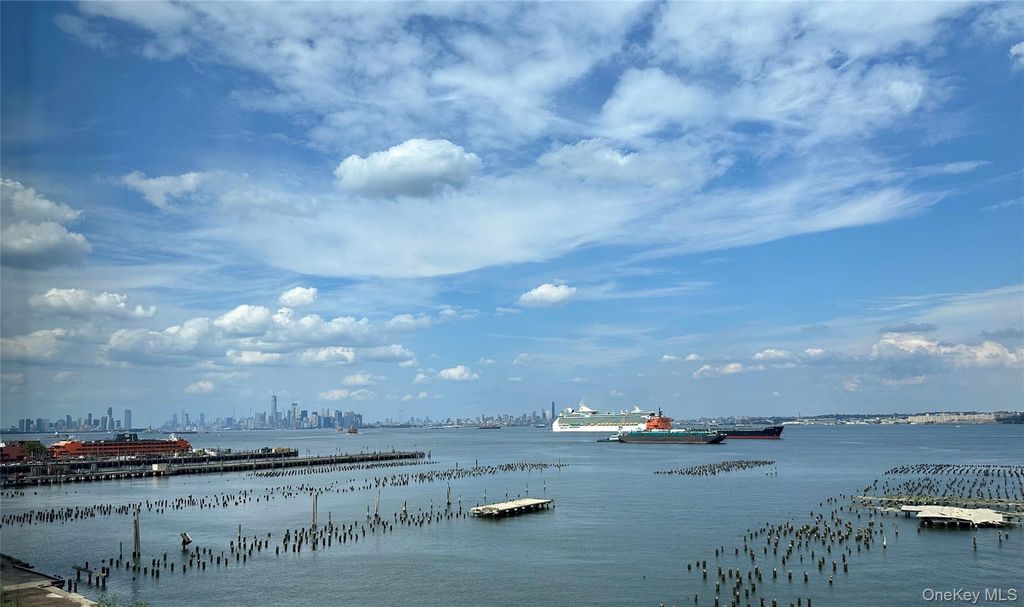 10 Bay Street Landing 5B, Staten Island, NY 10301