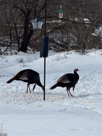 3346 Kneeland Circle, Howell, MI 48843