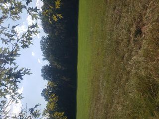 2313 South Frontage Road, Clinton, MS 39056