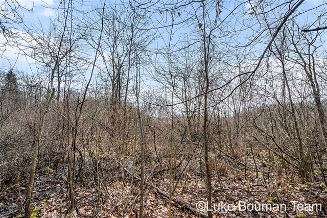 51957 Silver Lake Road, Grand Junction, MI 49056