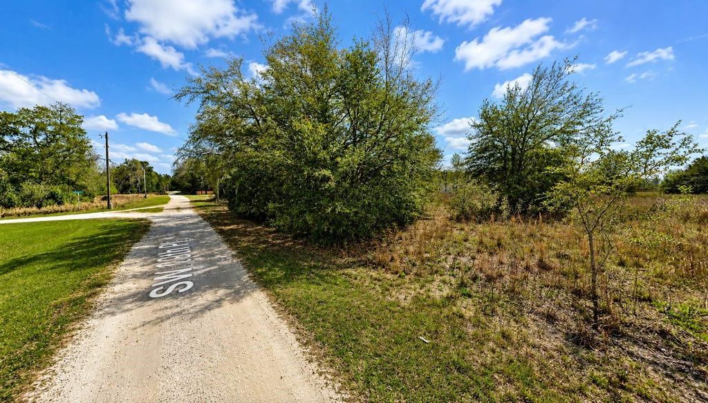 SW 29TH LN, Ocala, FL 34481