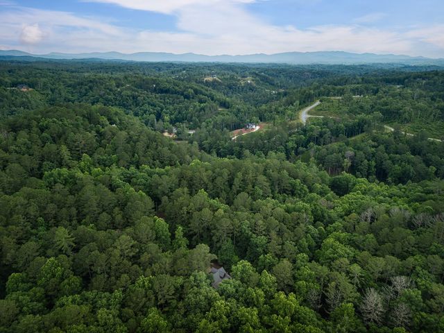 35 Noel Court, Ellijay, GA 30540