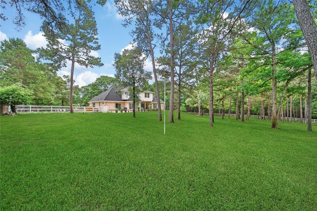345 Ridgelake Scenic Drive, Montgomery, TX 77316