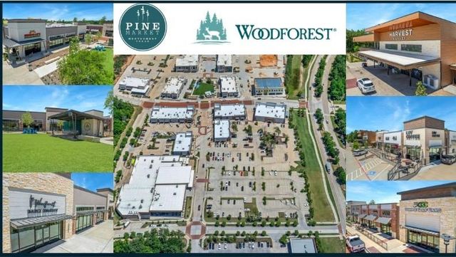 345 Ridgelake Scenic Drive, Montgomery, TX 77316