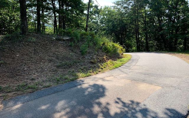 LOT 7 Golden Oaks, Warne, NC 28909