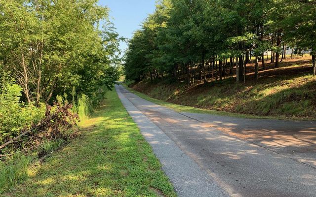 LOT 7 Golden Oaks, Warne, NC 28909