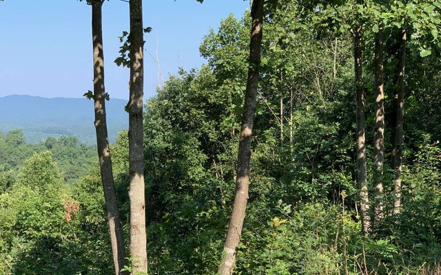 LOT 7 Golden Oaks, Warne, NC 28909
