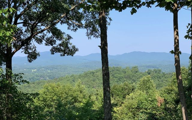 LOT 7 Golden Oaks, Warne, NC 28909
