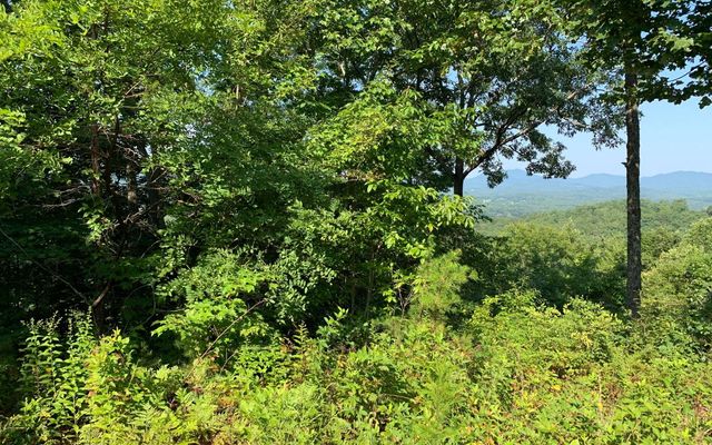 LOT 7 Golden Oaks, Warne, NC 28909
