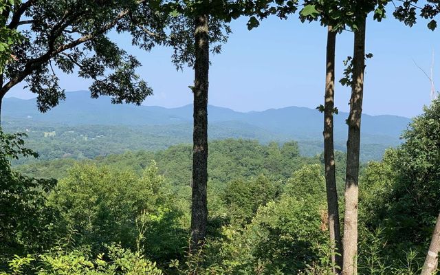 LOT 7 Golden Oaks, Warne, NC 28909