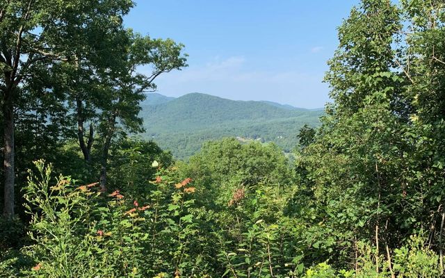 LOT 7 Golden Oaks, Warne, NC 28909