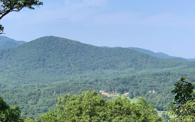 LOT 7 Golden Oaks, Warne, NC 28909