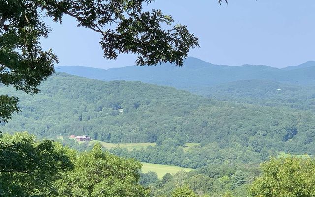 LOT 7 Golden Oaks, Warne, NC 28909
