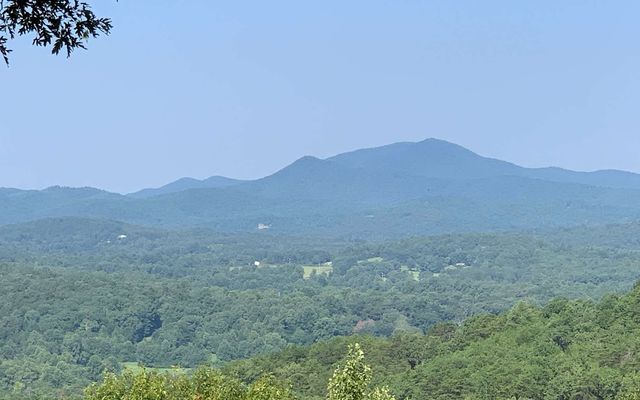 LOT 7 Golden Oaks, Warne, NC 28909