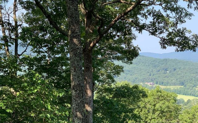 LOT 7 Golden Oaks, Warne, NC 28909