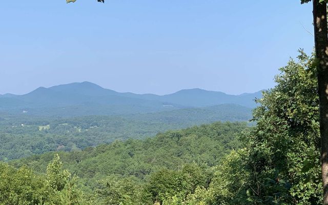 LOT 7 Golden Oaks, Warne, NC 28909