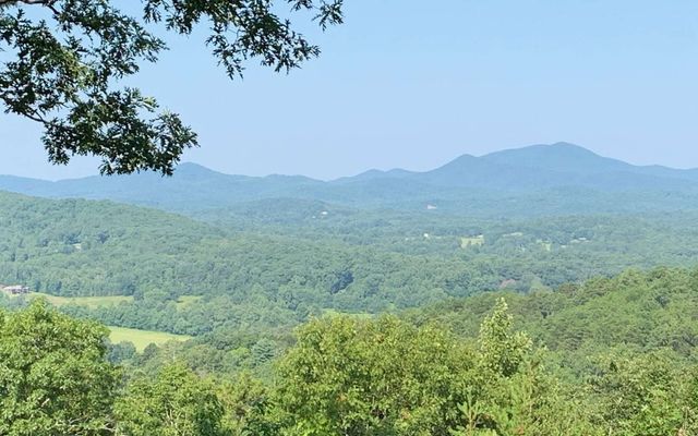 LOT 7 Golden Oaks, Warne, NC 28909