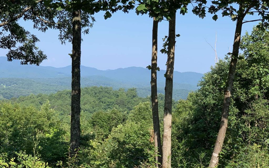 LOT 7 Golden Oaks, Warne, NC 28909
