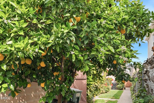 16 20 S Santa Anita Avenue, Arcadia, CA 91006