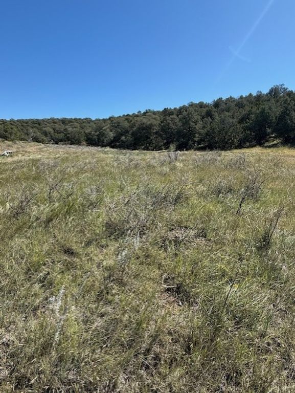 Image 1 of property listing at 0 Edgewood, Edgewood, NM 87015