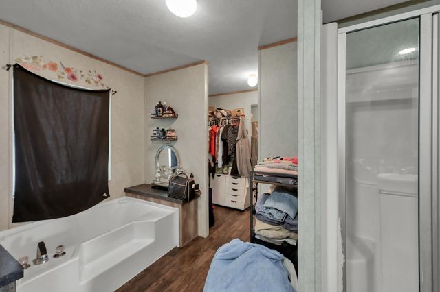 23594 Pine Forest Drive, New Caney, TX 77357