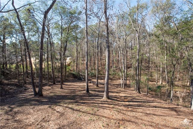 13552 Trailing Vine, Northport, AL 35475