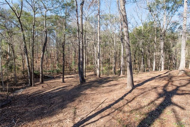 13552 Trailing Vine, Northport, AL 35475