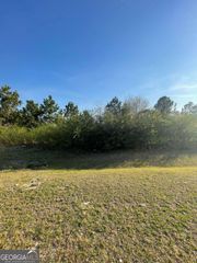 0 Effingham Highway, Sylvania, GA 30467