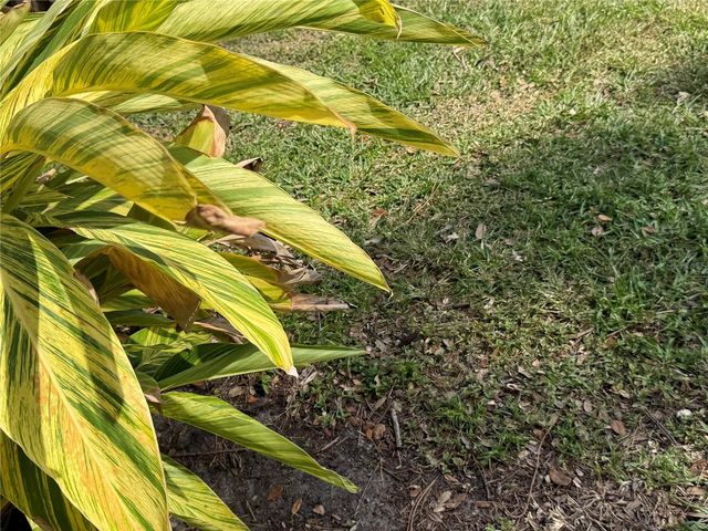 870 VILLAGE LAKE TERRACE N 101, St Petersburg, FL 33716