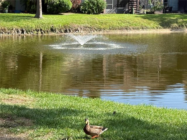 870 VILLAGE LAKE TERRACE N 101, St Petersburg, FL 33716