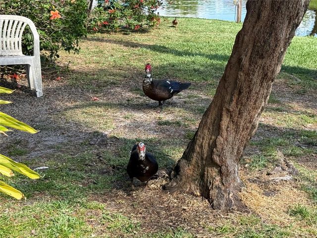 870 VILLAGE LAKE TERRACE N 101, St Petersburg, FL 33716