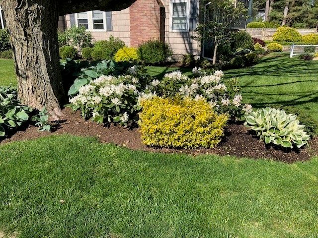 6 Enslin Road, Needham, MA 02492