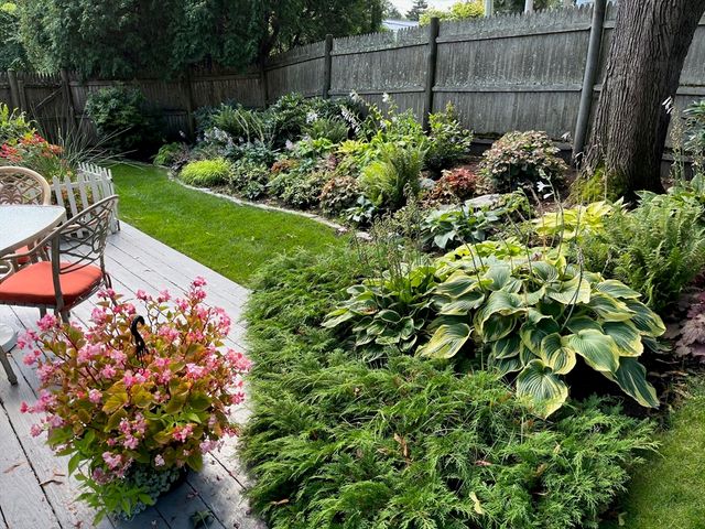 6 Enslin Road, Needham, MA 02492