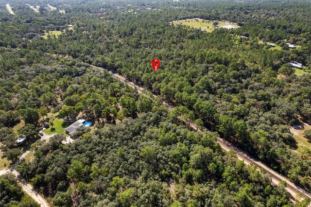 10806 N STATUE POINT, Dunnellon, FL 34433