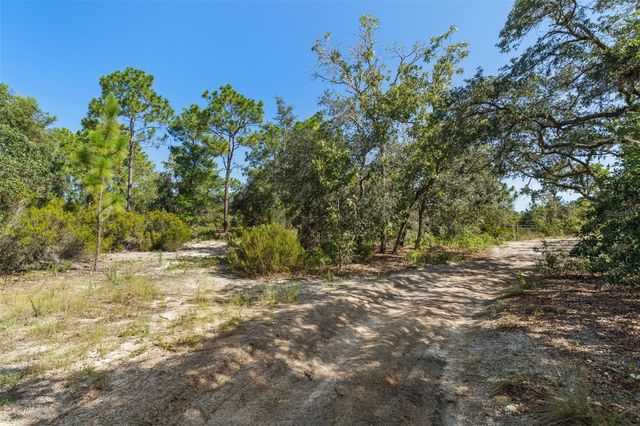 10806 N STATUE POINT, Dunnellon, FL 34433