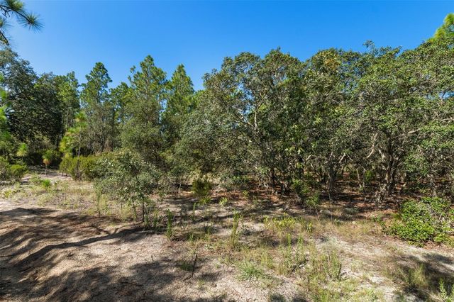10806 N STATUE POINT, Dunnellon, FL 34433